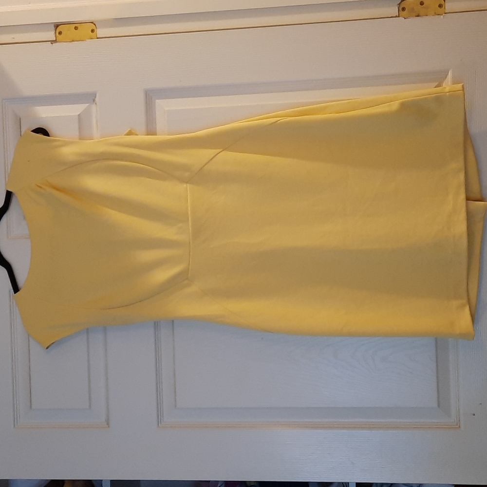The Limited dress